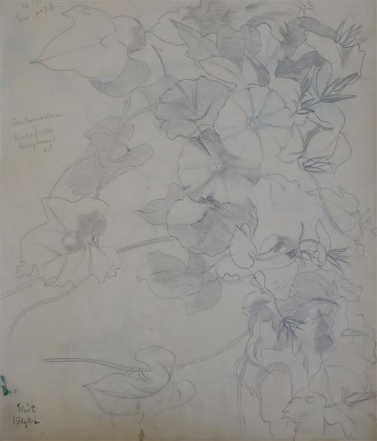 § Eliot Hodgkin (1905-1987) Sketch book number 4 mostly with studies of plants and flowers but including an interior scene and 15.75 x